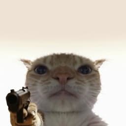 Gusic pointing a gun at you